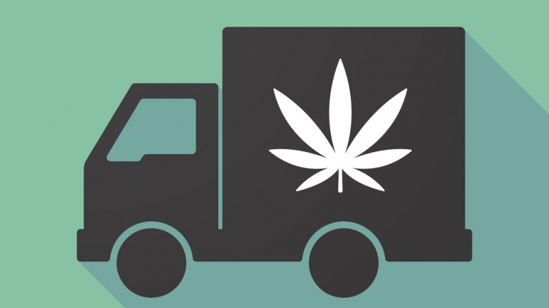 Will Cannabis Take the Wheel in 2019?