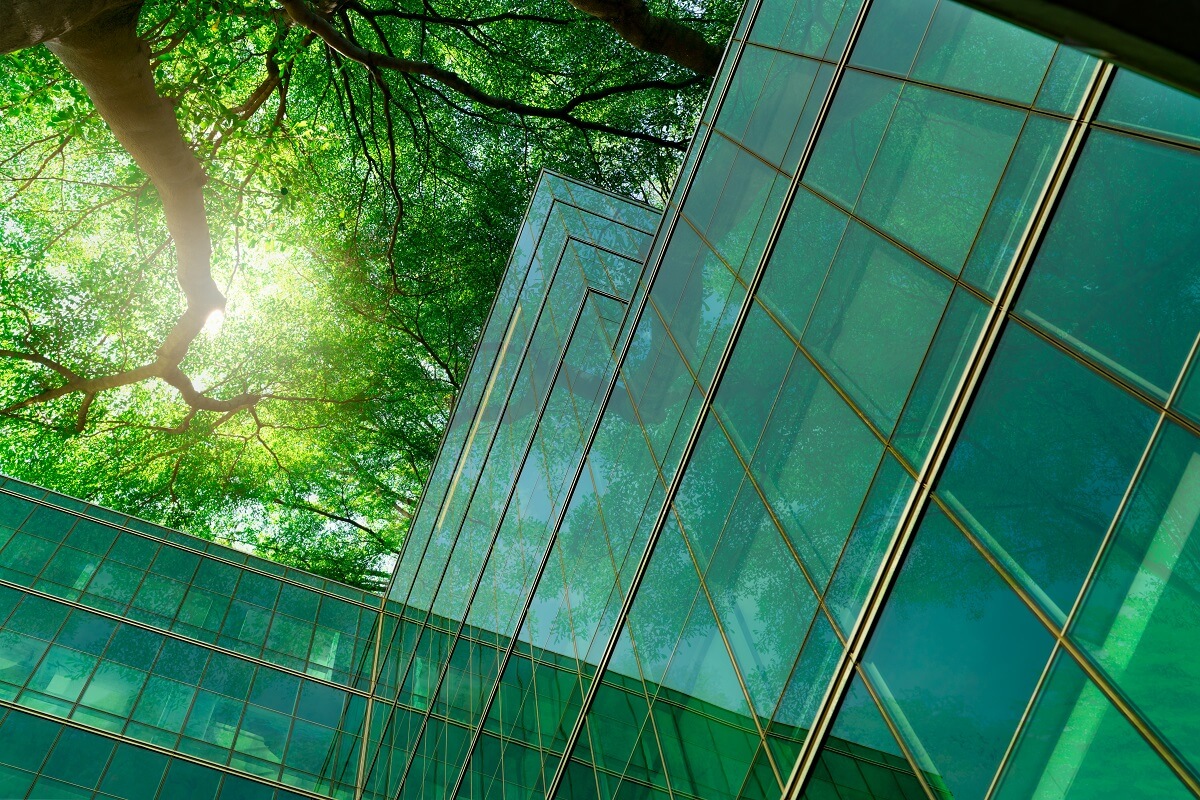 A sustainable office concept with trees and a modern glass building looking up from the ground.